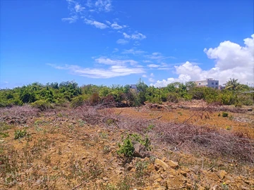 Land