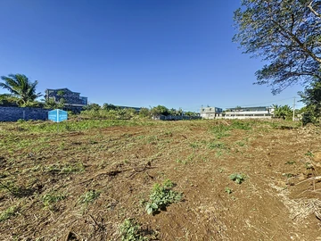 Land