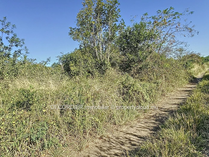Agricultural land for sale