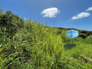 Land