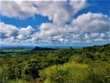 Land