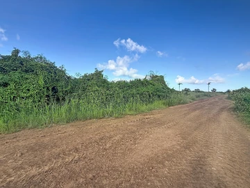 Terrain