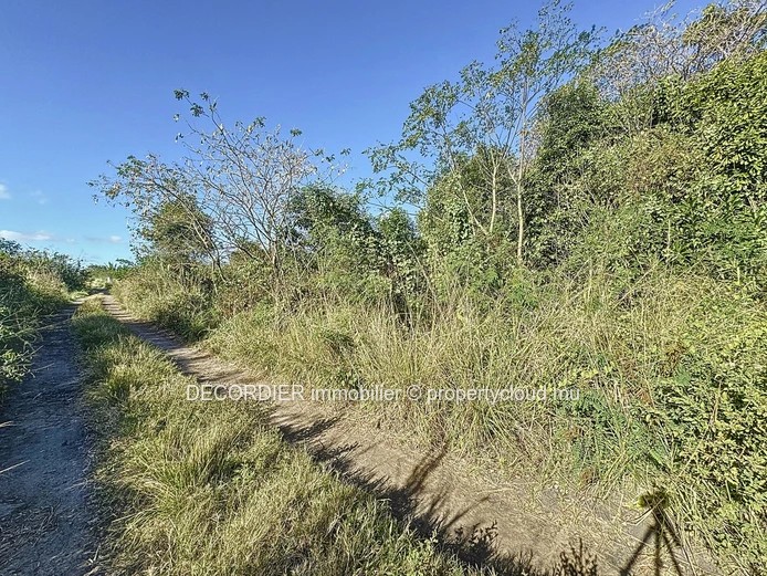 Agricultural land for sale