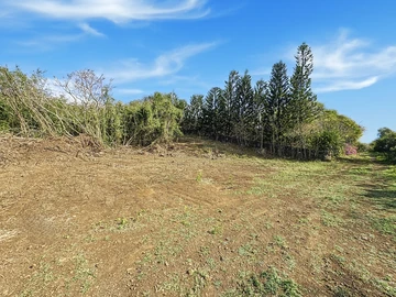Terrain