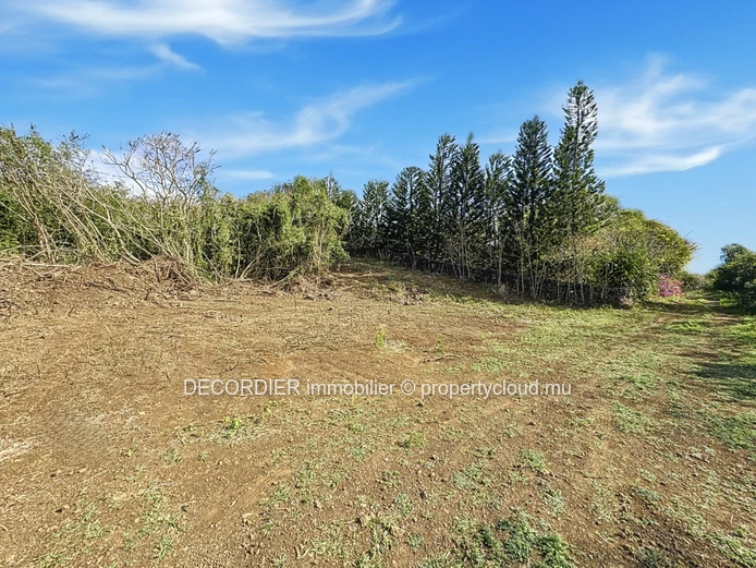 À Vendre La Salette Grand Baie Terrain Constructible
