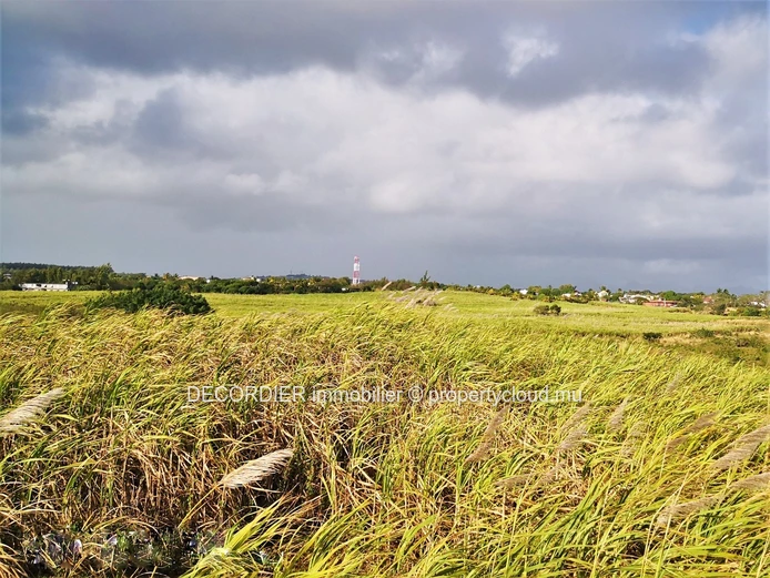 For sale agricultural land of 3.5 acre - Mont Mascal - Grand Bay