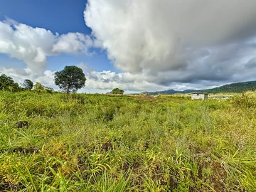 Land