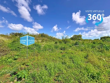 Terrain