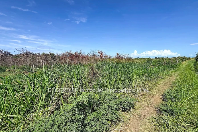 Residential Land for Sale – Grand Gaube