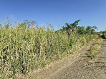 Land