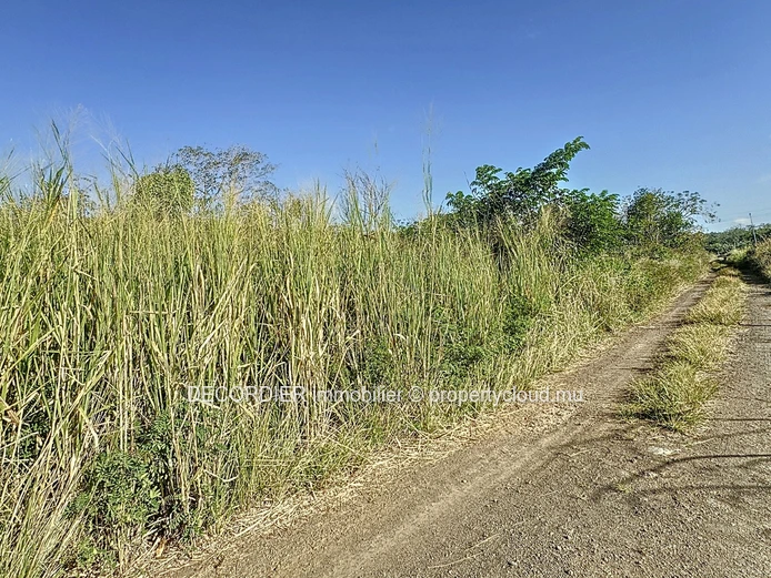 Agricultural land for sale