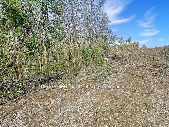À Vendre La Salette Grand Baie Terrain Constructible