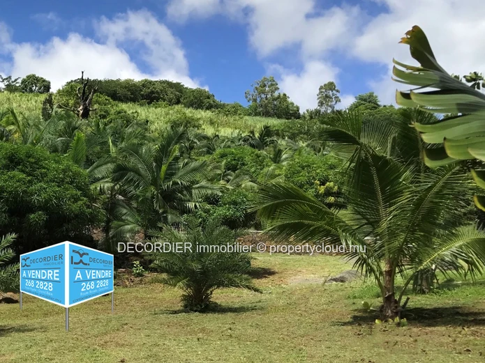 Agricultural land with sea and mountain views (Sole Mandate)