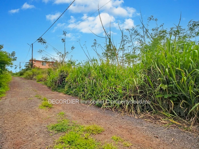 For Sale Baie Du Tombeau Agricultural Land