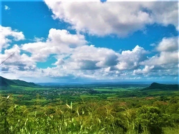 Land