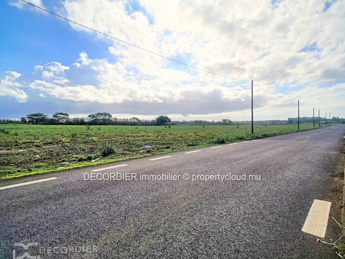 Magnificent land for real estate development / investor