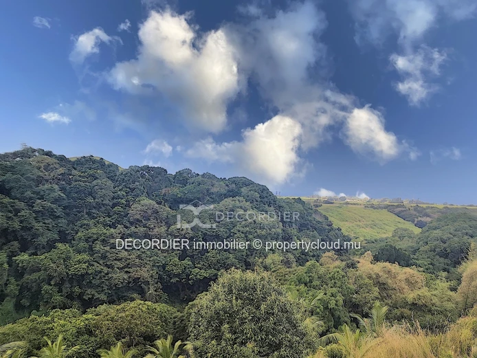 Agricultural land near Savanne river. (Sole Mandate)