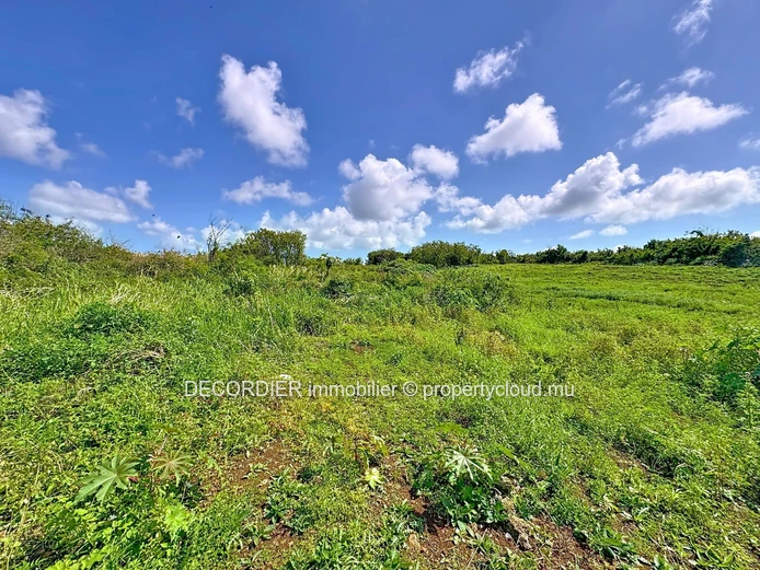 Invest in the future: Agricultural land with approved project (Sole Mandate)