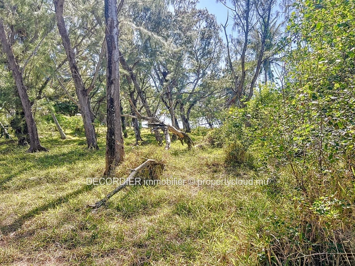 For Sale Poste Lafayette Building Land