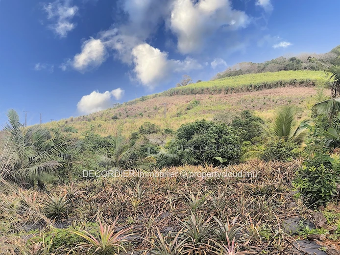 Agricultural land near Savanne river. (Sole Mandate)