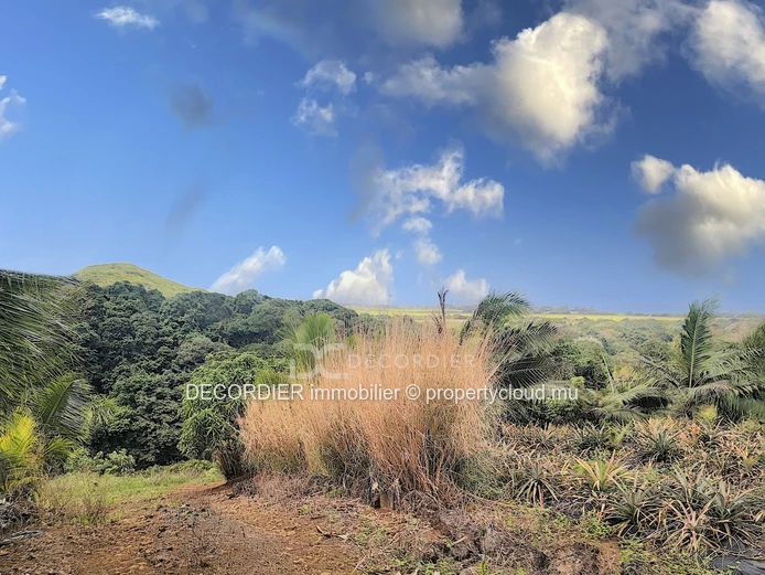 Agricultural land near Savanne river. (Sole Mandate)