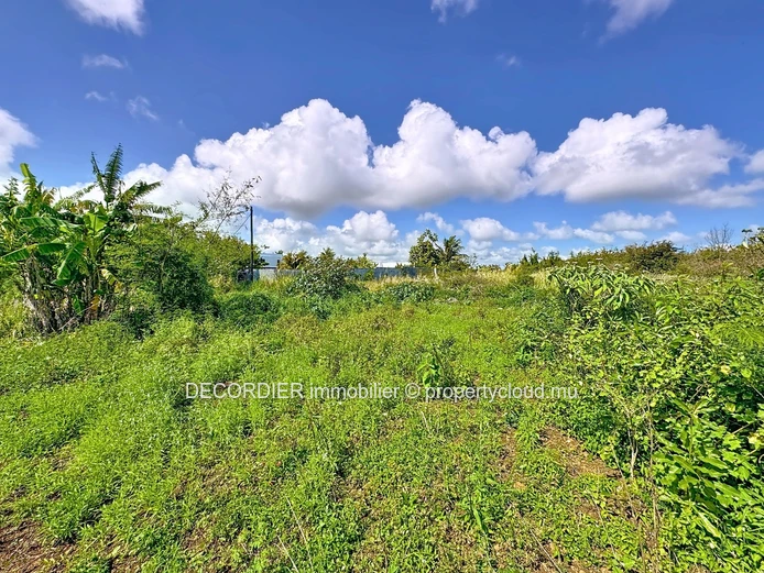 Invest in the future: Agricultural land with approved project (Sole Mandate)