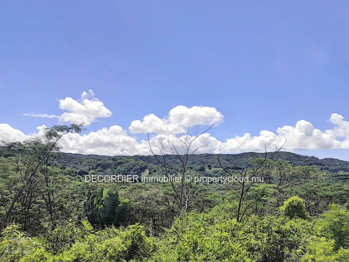 Terrain agricole de 464.62 arpents en vente de Quartier de la savanne à Chamarel
