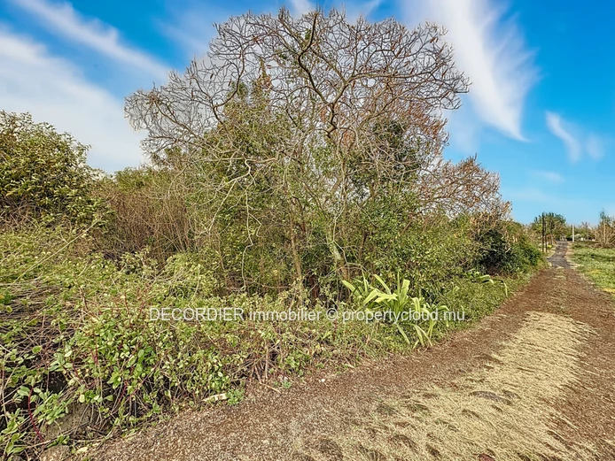 For Sale Calodyne Residential Land