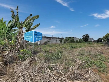 Land
