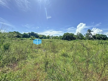 Land