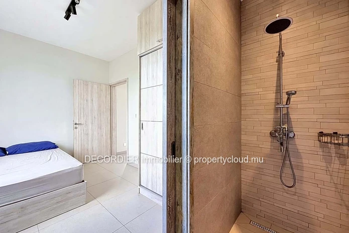 Modern duplex with private swimming pool (Sole Mandate)