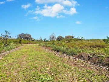 Land