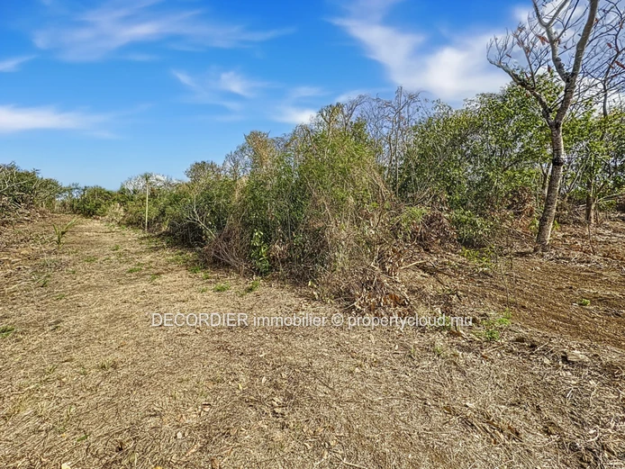 À Vendre La Salette Grand Baie Terrain Constructible