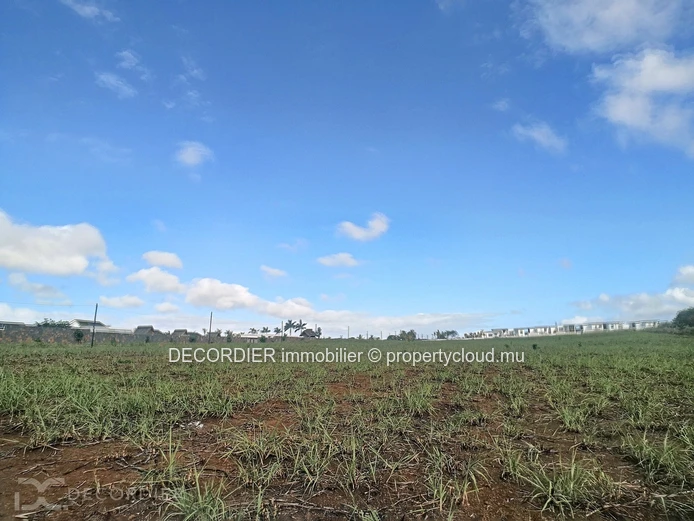 Magnificent land for real estate development / investor