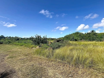 Land