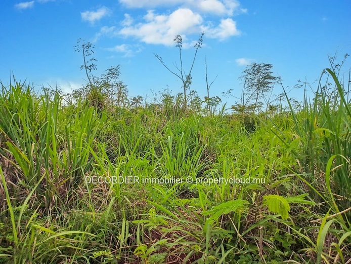 For Sale Baie Du Tombeau Agricultural Land