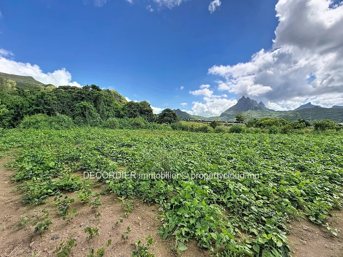Rare on the market – Spacious agricultural land
