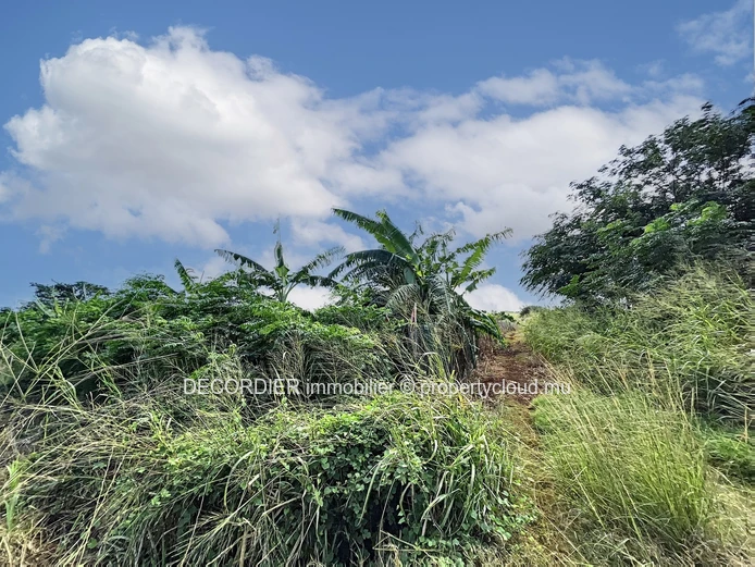 Large agricultural land ideal for an eco development project