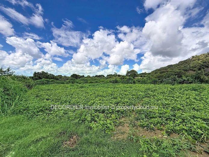 Rare on the market – Spacious agricultural land