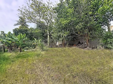 Terrain