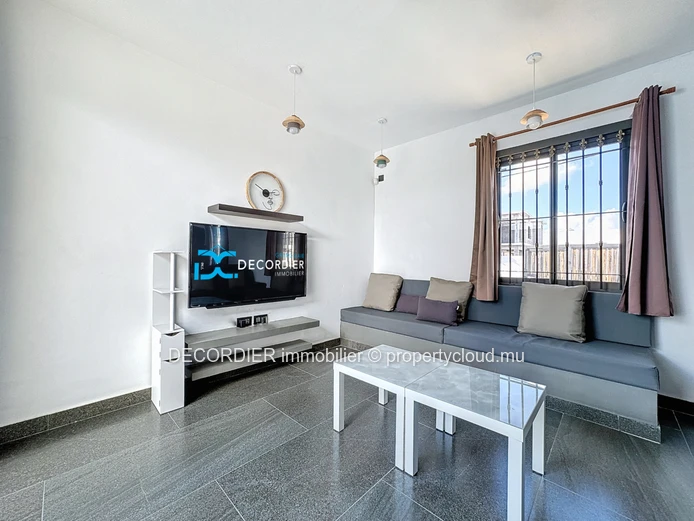 Large detached house with swimming pool