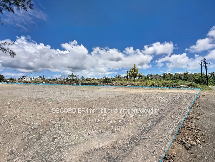 Your future residential project on a spacious plot (Sole Mandate)