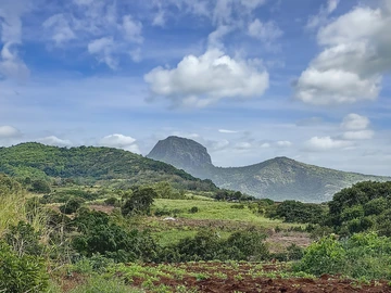 Terrain