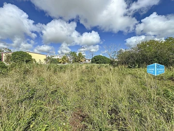 Land