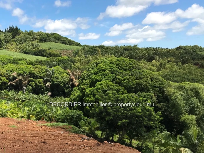 Agricultural land with sea and mountain views (Sole Mandate)