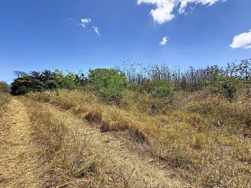 Land