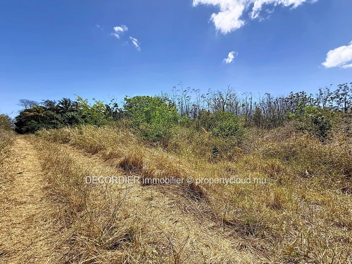 For Sale – Agricultural Land in Grand Baie, La Salette