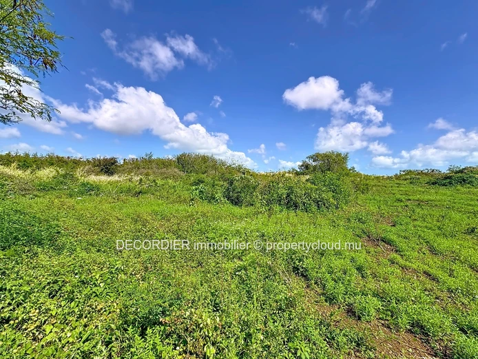 Invest in the future: Agricultural land with approved project (Sole Mandate)