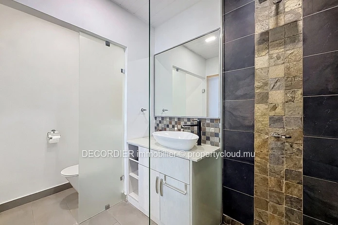 Apartment for Rent in Bain Bœuf