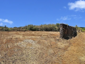 Land